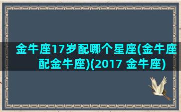 金牛座17岁配哪个星座(金牛座配金牛座)(2017 金牛座)